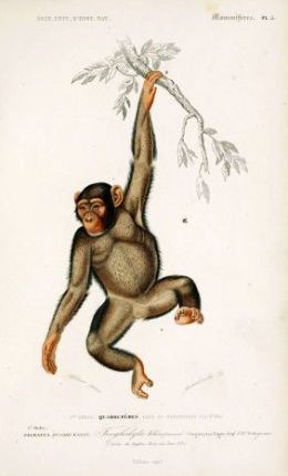 images (2)