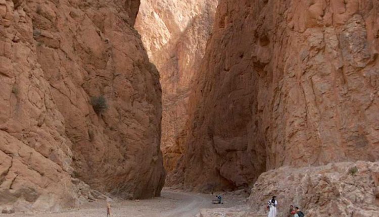 حصيلة: تحسين 15 ألف و500 كليومتر من الطرق القروية