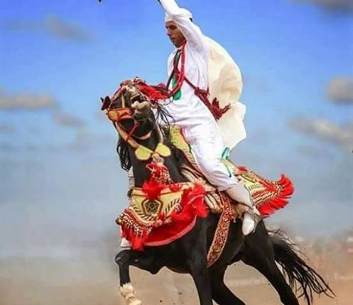 هاسبريس  الفروسية