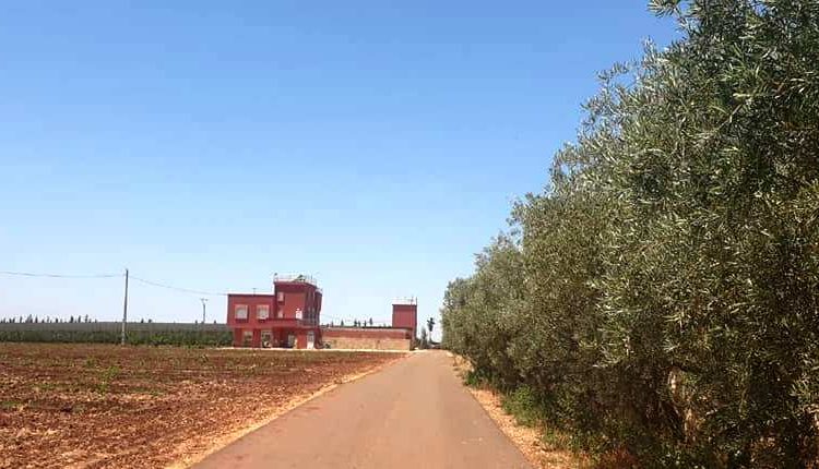 مشروع قانون جديد يروم  إعفاءات جديدة للفلاحين المستفيدين من أراضي الدولة الفلاحية