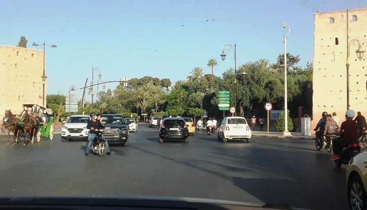 مدينة مراكش (5)