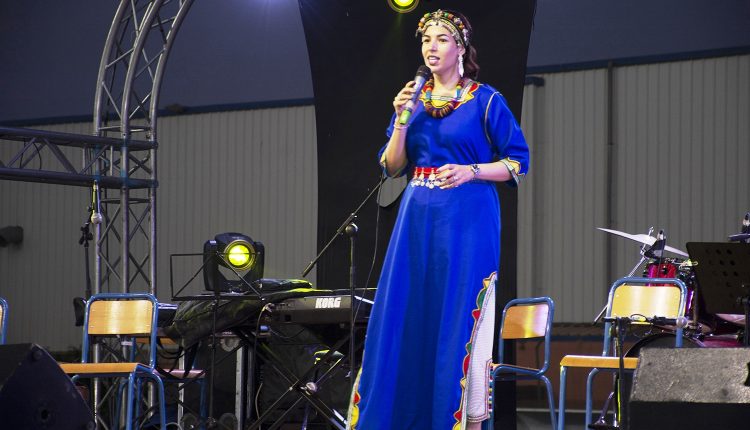 جماعة ايت ملول تحتفل بالجالية المغربية ضمن حفل فني‎‎ (8)
